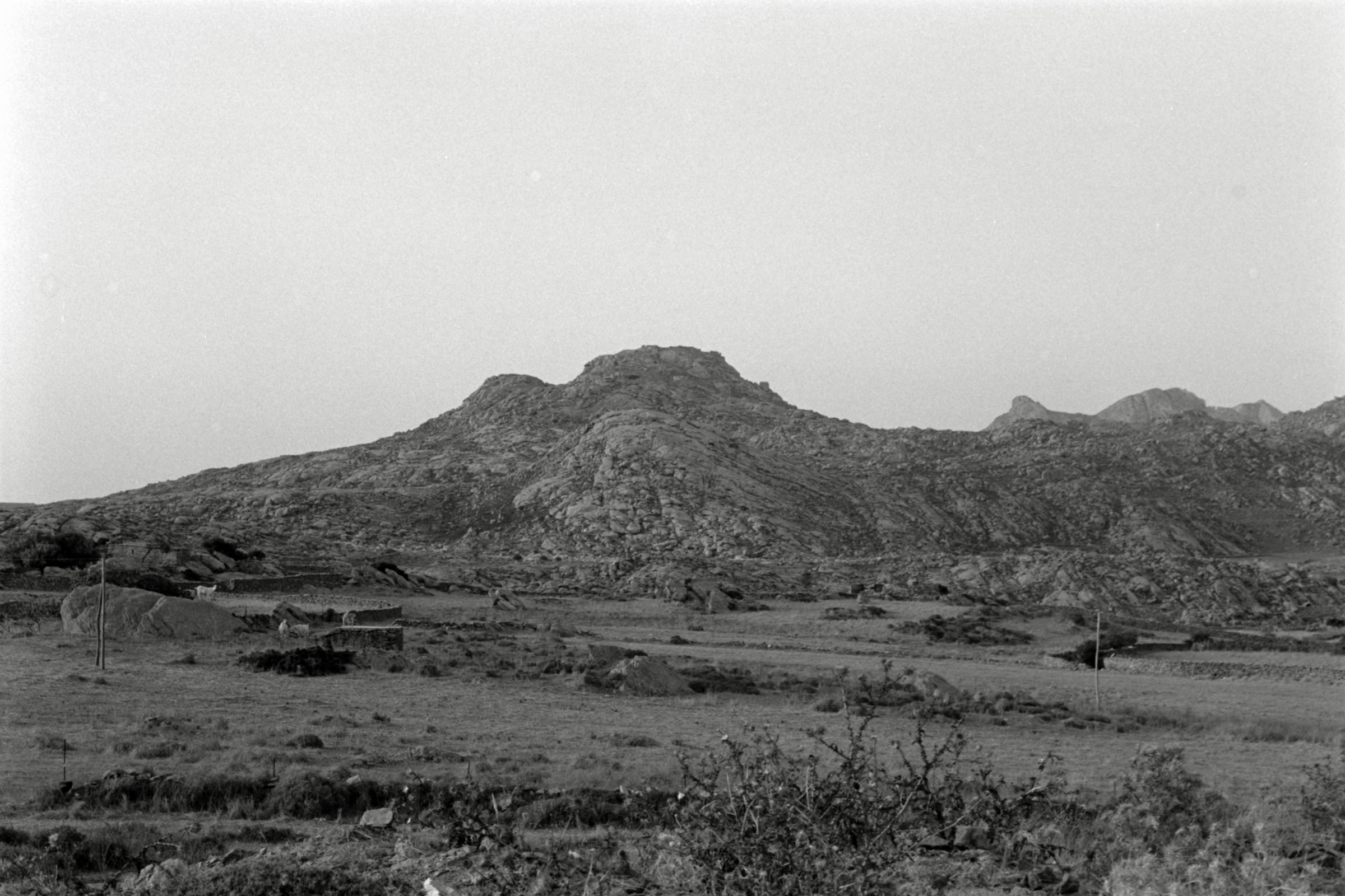 AHP F1991 09 005 sc250507 img15 NLP